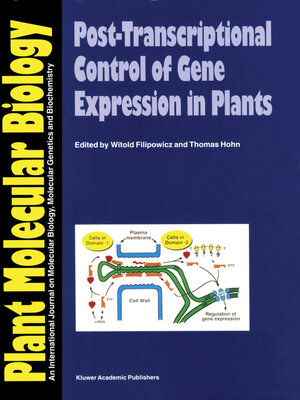 cover image of Masters Theses in the Pure and Applied Sciences